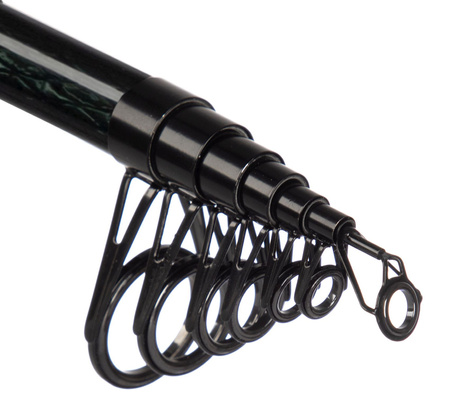 Mikado INTRO II CORK POWER TELEROD 300 up to 120g
